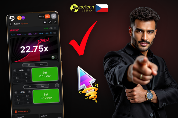 Pelican Casino tipy a triky pro zvládání série proher s klidem